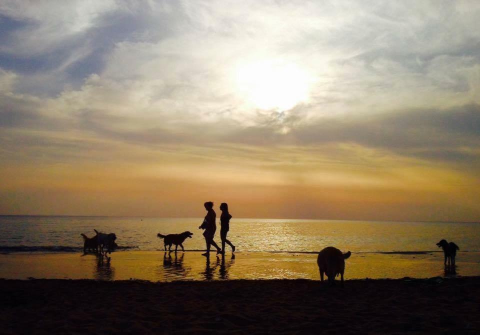 Dolce Vita Campiglia Marittima Buitenkant foto