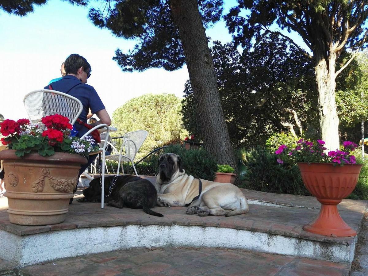 Dolce Vita Campiglia Marittima Buitenkant foto