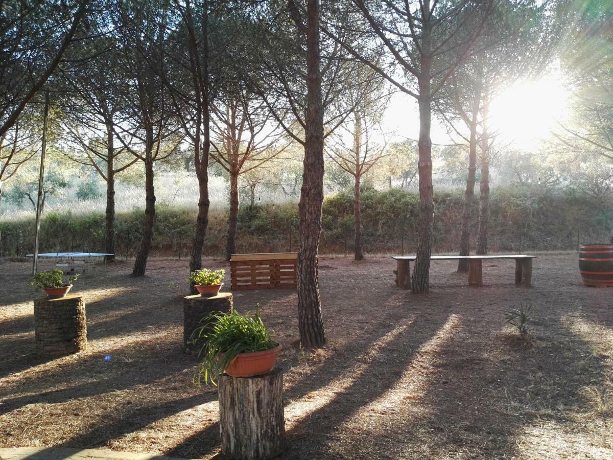 Dolce Vita Campiglia Marittima Buitenkant foto